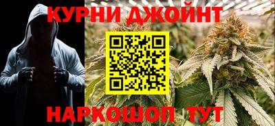 меф Гатчина