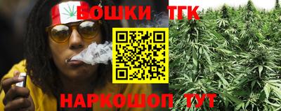 меф Гатчина